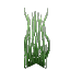 Tall Winter Seaweed