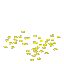 Storm Sapling Seeds