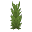 Wet Reeds