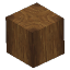 Beech Tree Trunk